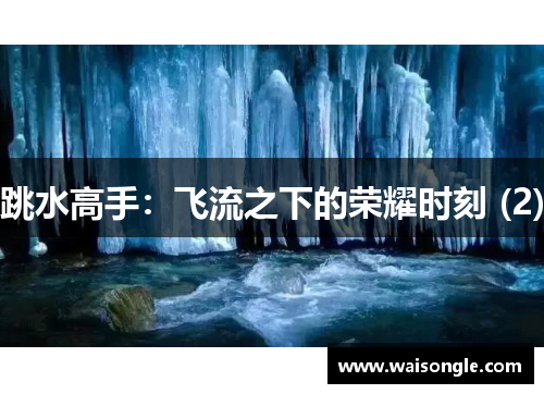 跳水高手：飞流之下的荣耀时刻 (2)