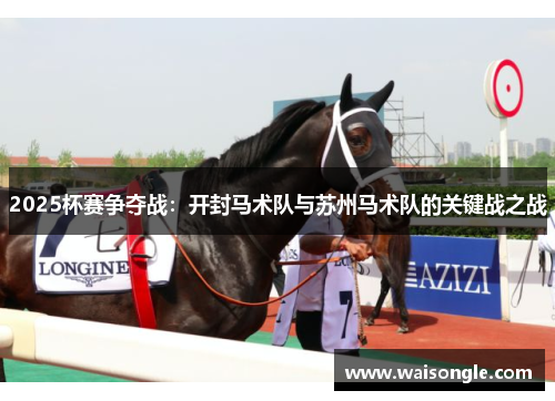 2025杯赛争夺战：开封马术队与苏州马术队的关键战之战