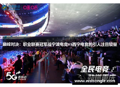 巅峰对决：职业联赛冠军战宁波电竞vs西宁电竞的引人注目较量